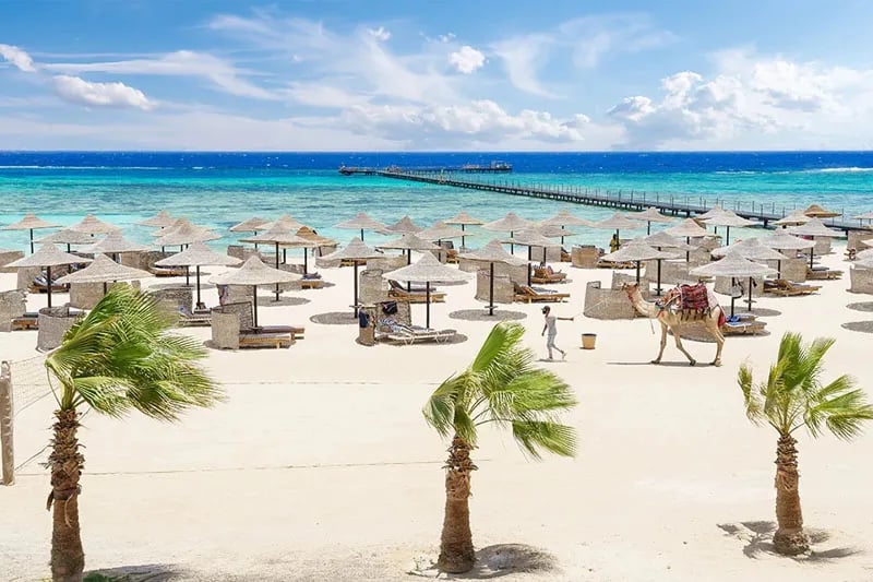 Najlepsze atrakcje w Marsa Alam, które musisz zobaczyć na wakacjach